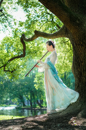 鐵梨花電視劇全集播放免費(fèi)觀看