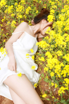 公仔箱論壇入口