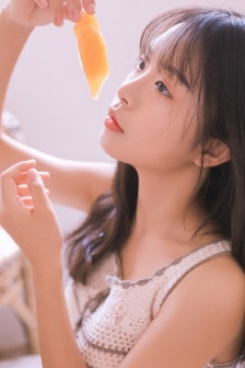 秘密訪客什么意思